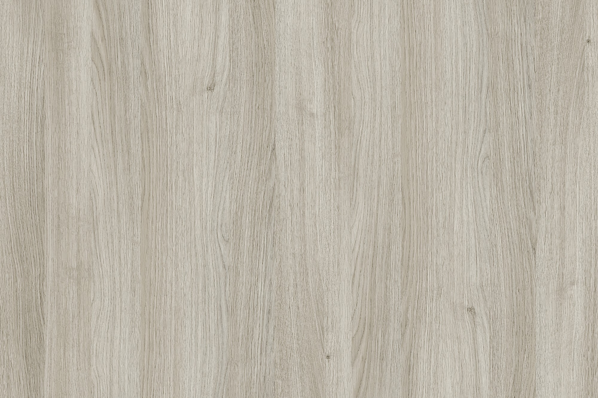 ресепшн salute дуб шамони светлый фото