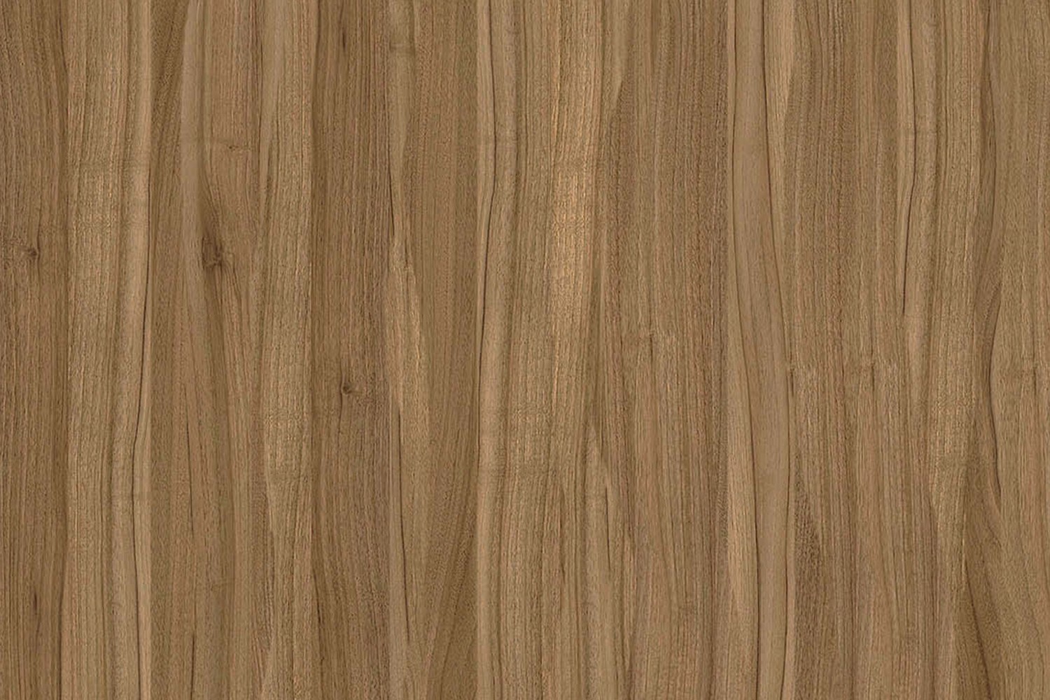 ресепшн salute орех селект фото