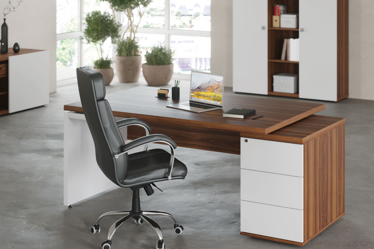 кабинет руководителя zion орех селект фото