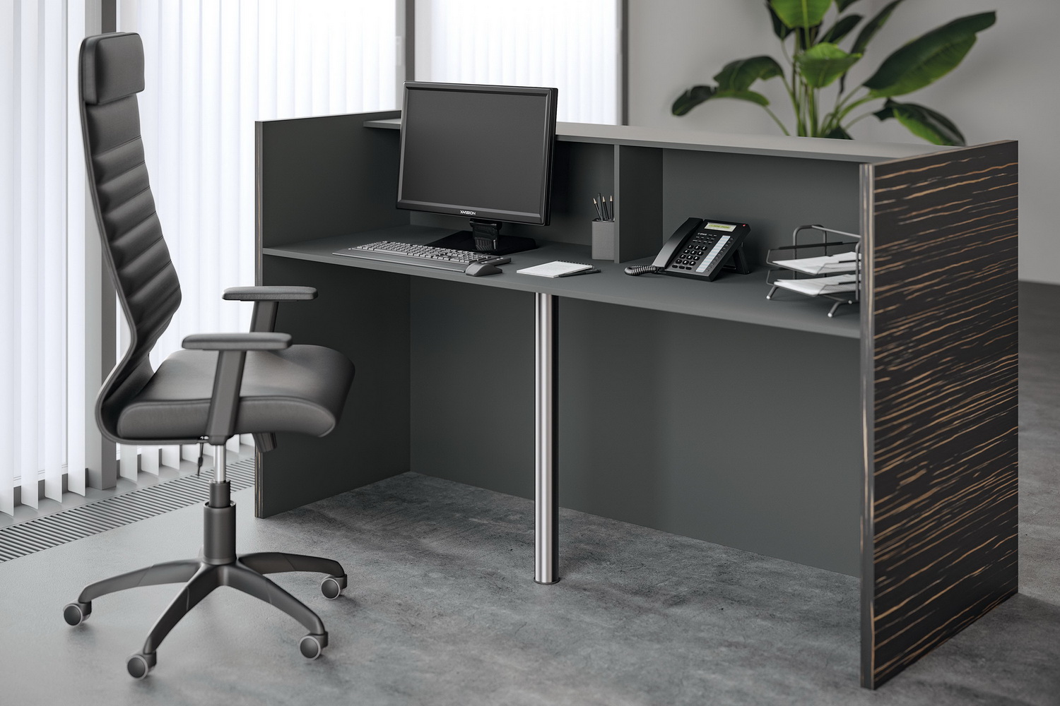 ресепшн dali орех сахара фото