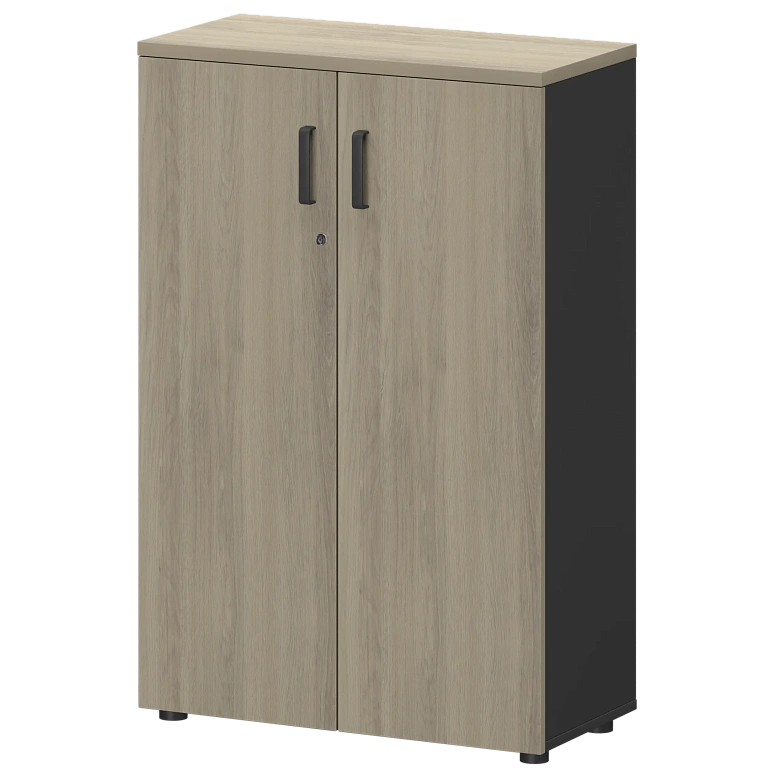 шкаф protech смш-38д тип2 графит/кронберг фото