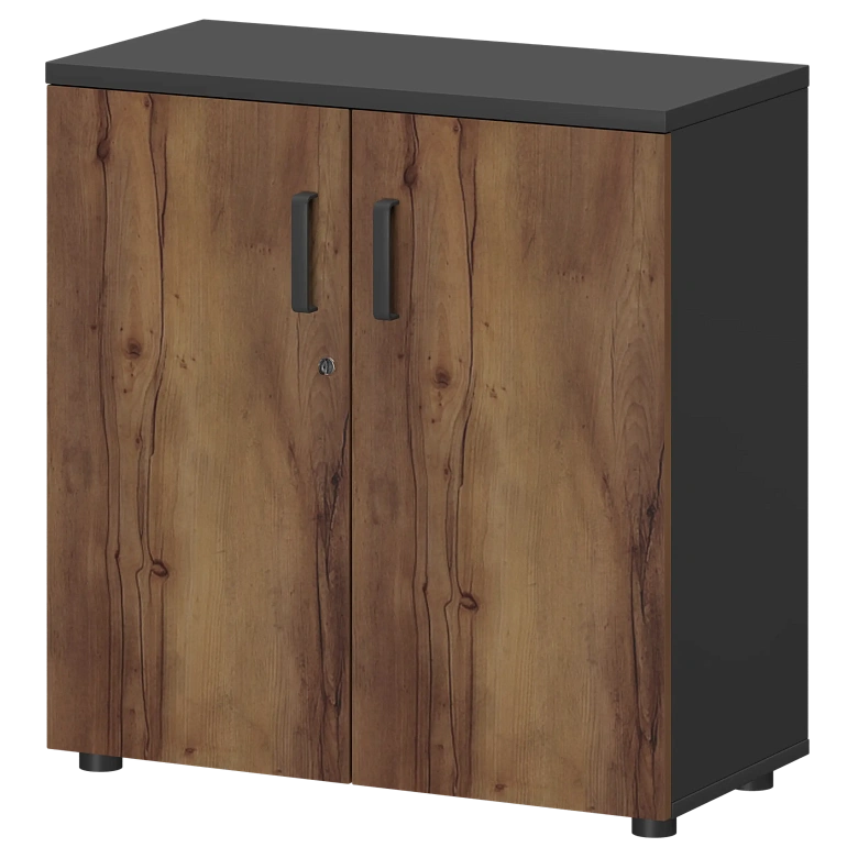 шкаф protech смш-28д тип1 графит/таксония фото