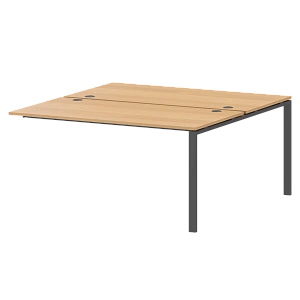 Модуль двойной на 2 рабочих места Protech АМБЭ-002 Ольха/Антрацит фото