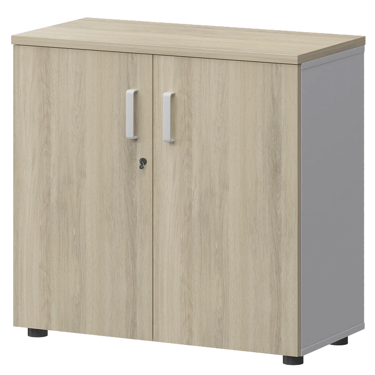 шкаф protech смш-28д тип2 белый/кронберг фото