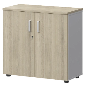 Шкаф Protech СМШ-28Д Тип2 Белый/Кронберг фото