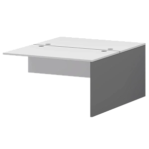 Модуль двойной Тип1 Protech СМСН25-2.12.60 Графит/Белый фото