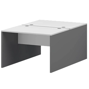 Бенч двойной Тип1 Protech СМСР25-2.10.60 Графит/Белый фото