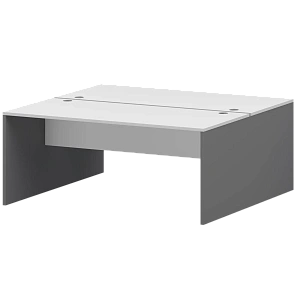 Бенч двойной Тип1 Protech СМСР25-2.16.60 Графит/Белый фото