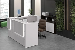 Ресепшн ONIX Белый Бриллиант фото