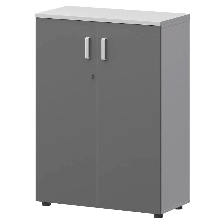 шкаф protech смш-38д тип1 белый/графит фото