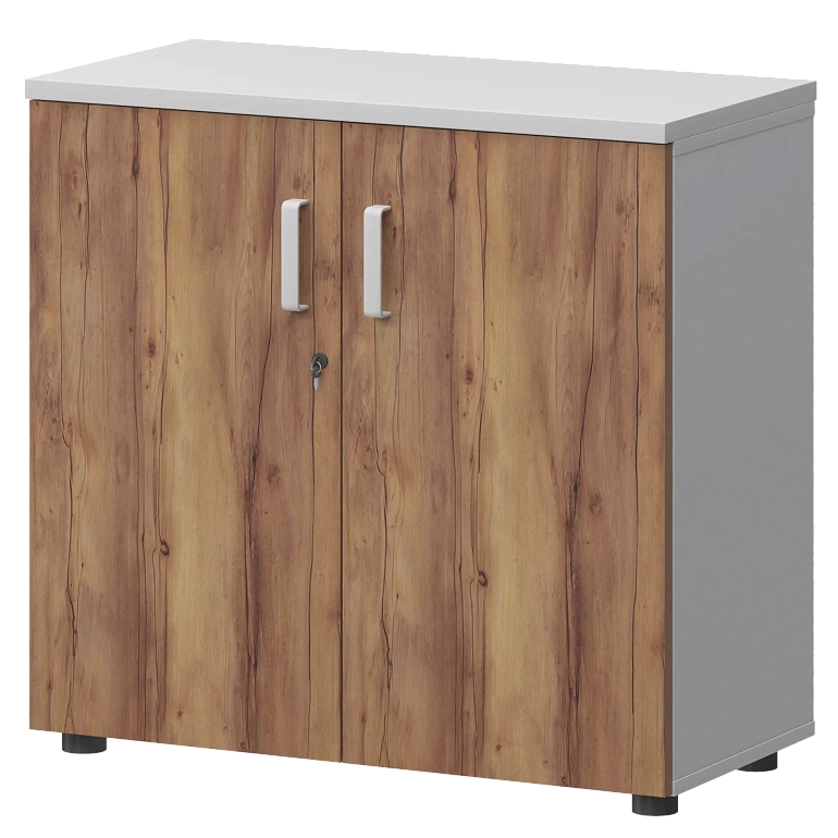 шкаф protech смш-28д тип1 белый/таксония фото