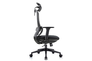 Кресло руководителя RV Chair SKILL 6245A Чёрная сетка / Чёрная ткань фото
