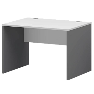 Стол Тип1 Protech СМСР25-10.60 Графит/Белый фото