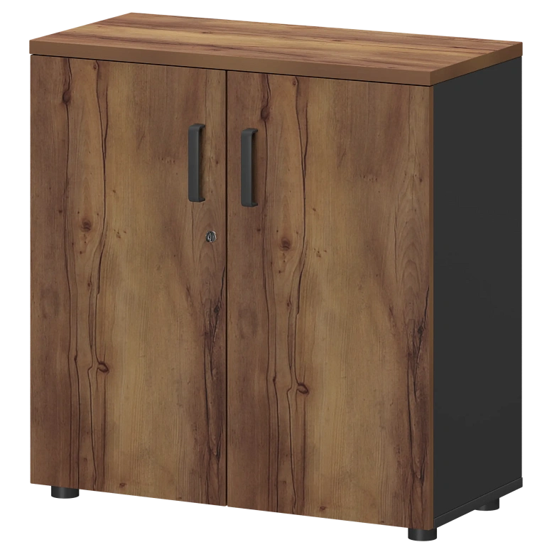 шкаф protech смш-28д тип2 графит/таксония фото