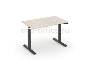 Стол электроподъёмный MOVE UP MV.SE-2.7 Денвер Светлый / Антрацит металл фото