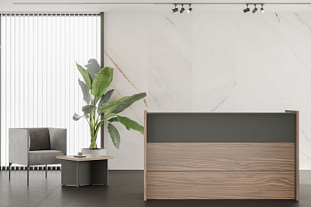 купить ресепшн dali эбен #REGION_NAME_DECLINE#