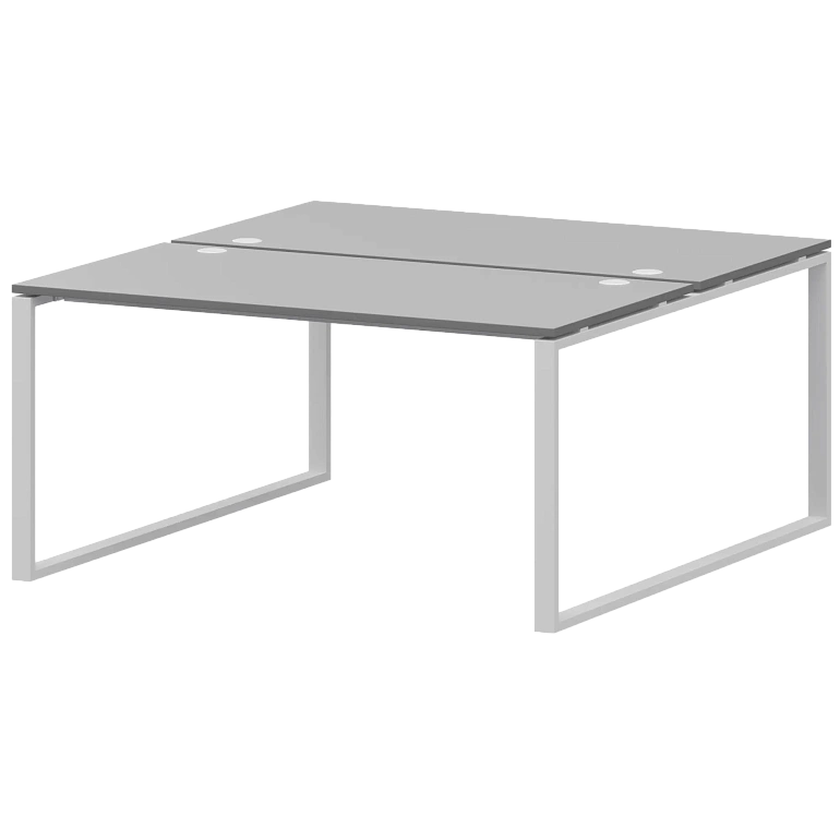 бенч двойной на 2 рабочих места protech амб.о-004.60 серый/белый фото