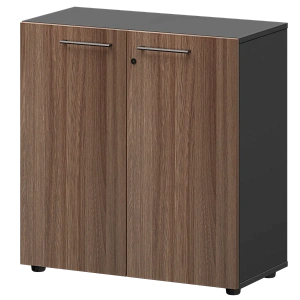 Шкаф низкий закрытый Protech СМШ28F Темный шимо/Графит фото