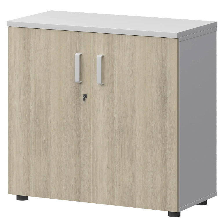 шкаф protech смш-28д тип1 белый/кронберг фото