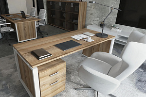 Кабинет руководителя АРГЕНТУМ-М Дуб Сафари фото