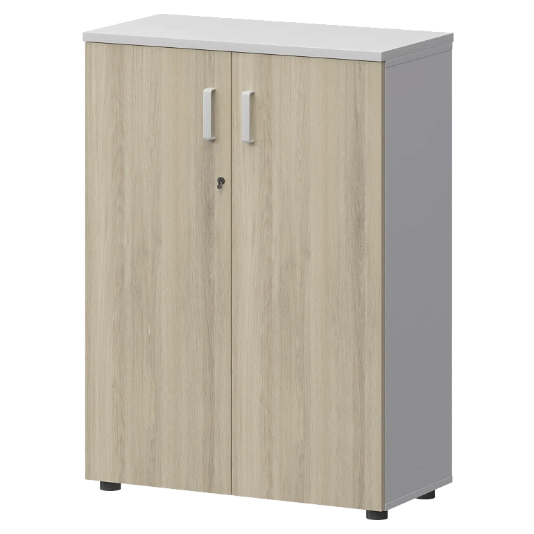 шкаф protech смш-38д тип1 белый/кронберг фото