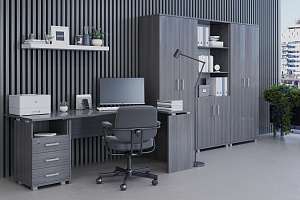 Кабинет руководителя АРГЕНТУМ Лиственница фото