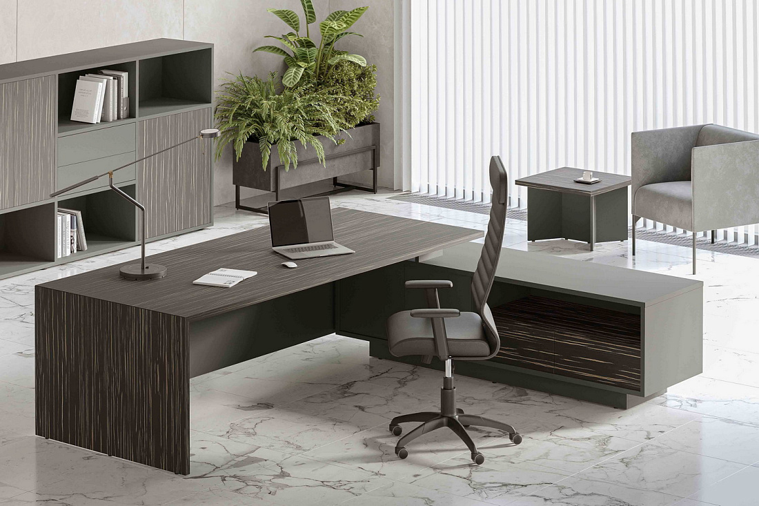 кабинет руководителя dali эбен фото