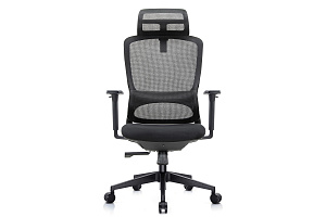 Кресло руководителя RV Chair SKILL 6245A Чёрная сетка / Чёрная ткань фото