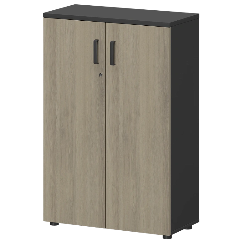 шкаф protech смш-38д тип1 графит/кронберг фото