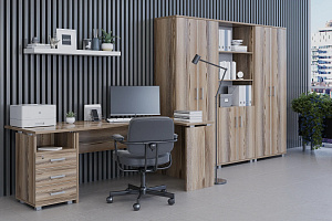 Кабинет руководителя АРГЕНТУМ Дуб Сафари фото