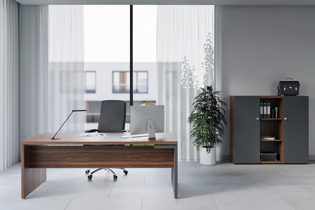 кабинет руководителя zion орех селект фото