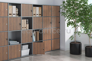 Модульные шкафы LOCKER PLUS Дуб Аризона фото