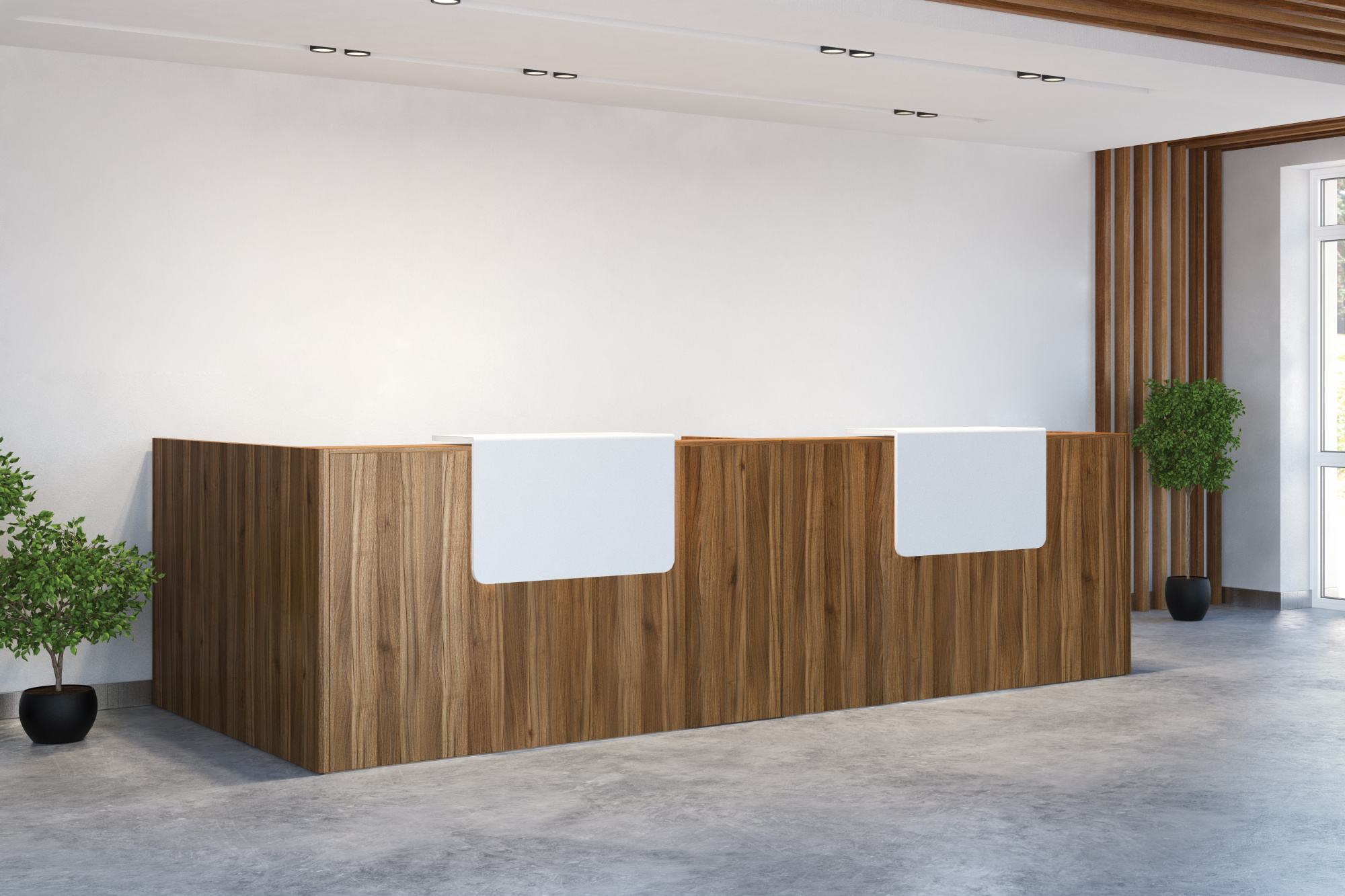 ресепшн salute орех селект фото