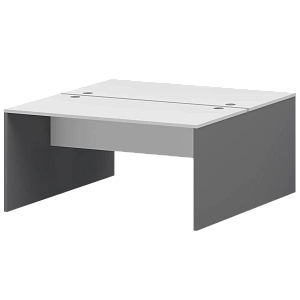 Бенч двойной Тип1 Protech СМСР25-2.14.73 Графит/Белый фото