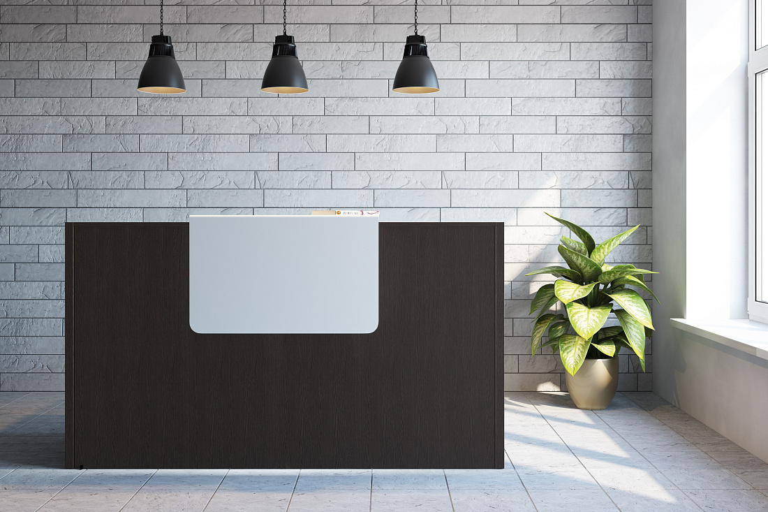 ресепшн salute венге фото