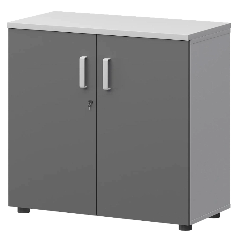 шкаф protech смш-28д тип1 белый/графит фото