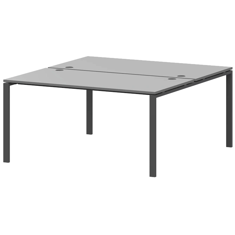 бенч двойной на 2 рабочих места protech амб-003.60 серый/антрацит фото