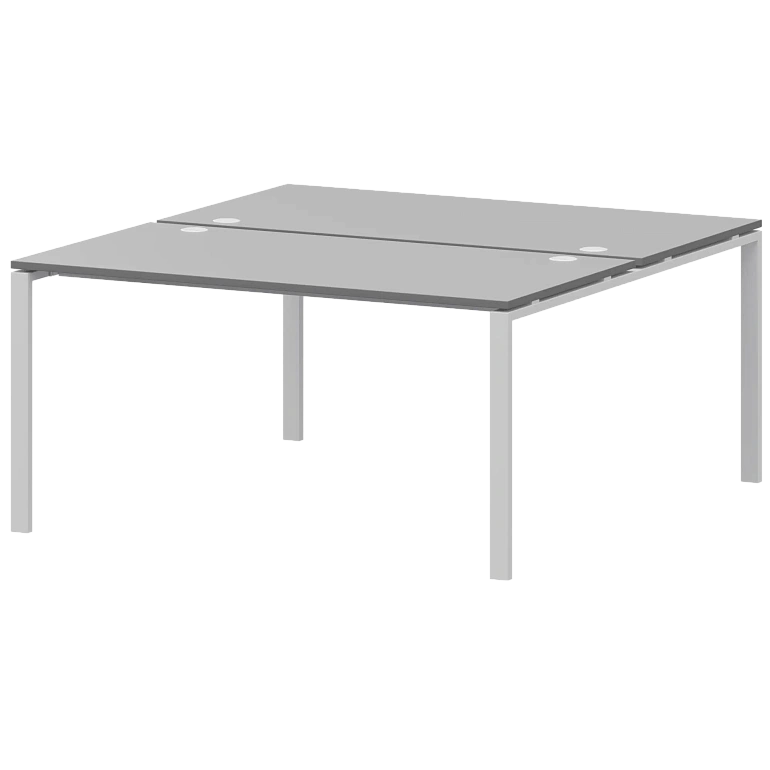 бенч двойной на 2 рабочих места protech амб-004.60 серый/белый фото