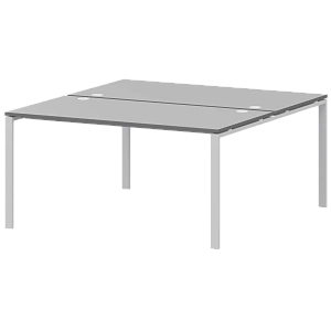 Бенч двойной на 2 рабочих места Protech АМБ-002 Серый/Белый фото