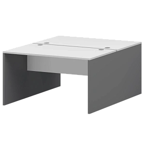 Бенч двойной Тип1 Protech СМСР25-2.12.60 Графит/Белый фото