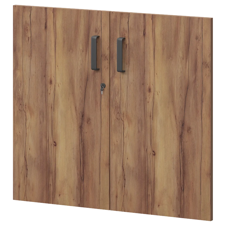 дверь protech смд-28.ф таксония фото