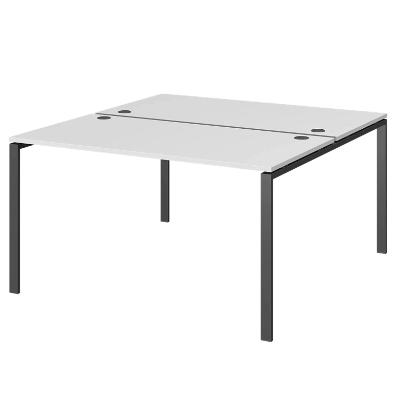 бенч двойной на 2 рабочих места protech амб-002.60 белый/антрацит фото