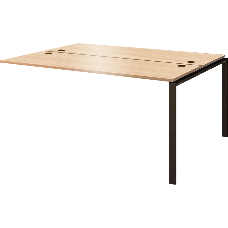 модуль двойной на 2 рабочих места protech амбэ-004.60 бук/антрацит фото