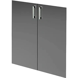 Двери средние стеклянные Protech НТ-601.2.С.Ф Тонированный фото