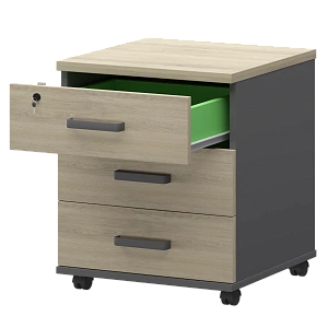 Тумба подкатная Protech СМТ-3П Тип2 Графит/Кронберг фото