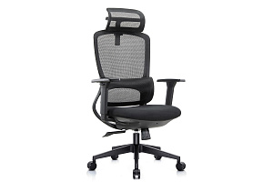 Кресло руководителя RV Chair SKILL 6245A Чёрная сетка / Чёрная ткань фото