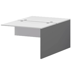 Модуль двойной Тип1 Protech СМСН25-2.10.60 Графит/Белый фото