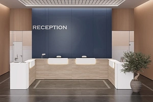 Ресепшн ONIX Дуб Аттик фото
